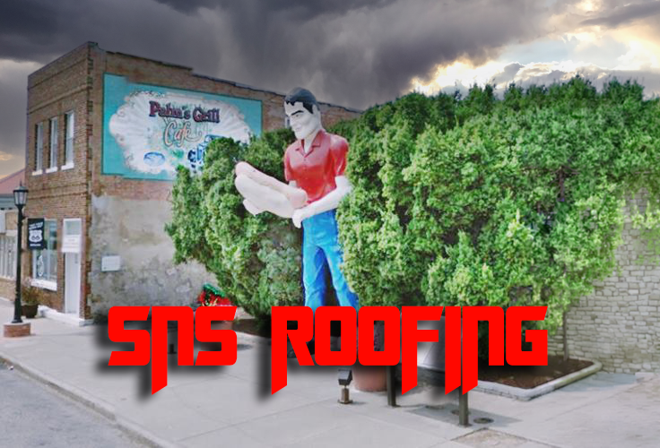 Atlanta IL SNS Roofing