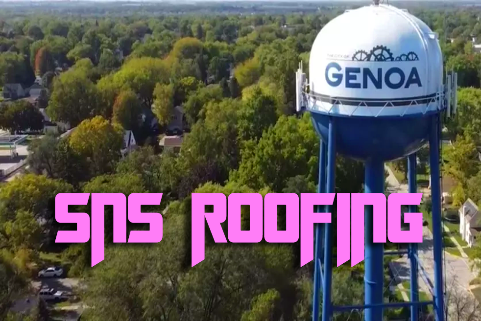 Genoa IL Roofer